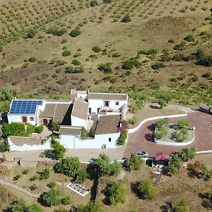 Pensión Olivetum Colina, Montoro